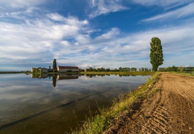 B&B dalLo Zio Ottobiano Bagian luar foto