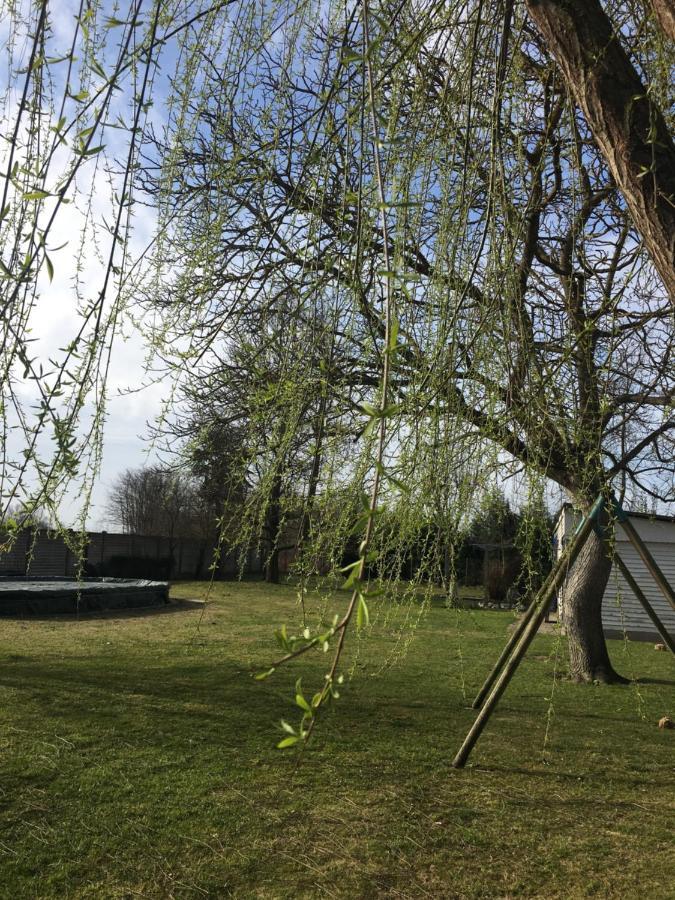 B&B dalLo Zio Ottobiano Bagian luar foto