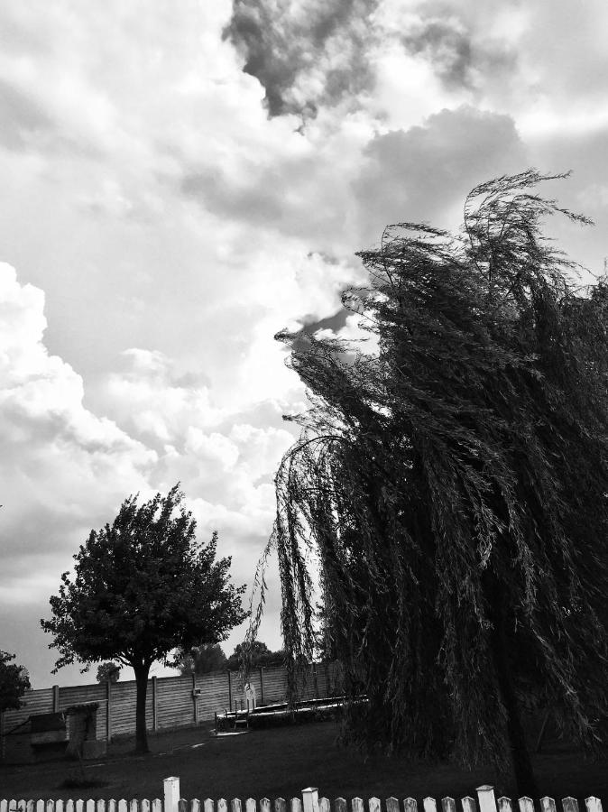 B&B dalLo Zio Ottobiano Bagian luar foto